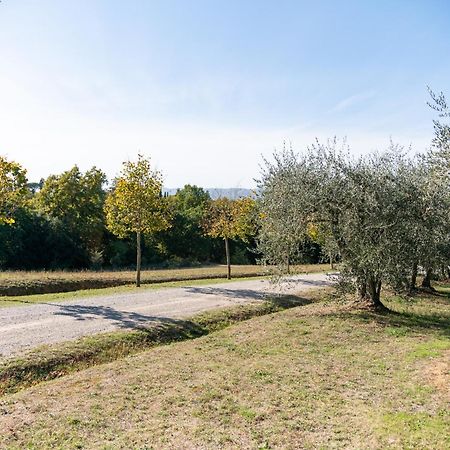 Maison d'hôtes San Carlo A La Molinella à Città della Pieve Extérieur photo
