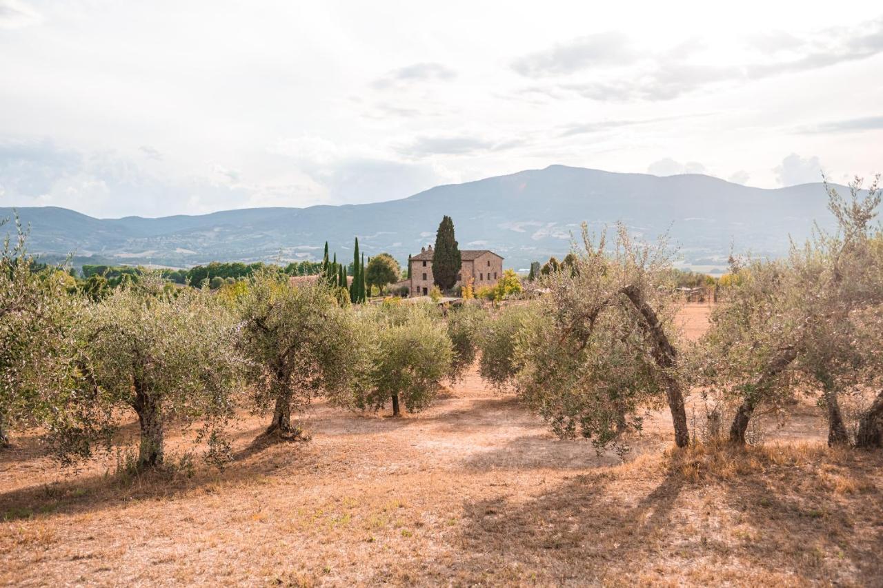 Maison d'hôtes San Carlo A La Molinella à Città della Pieve Extérieur photo