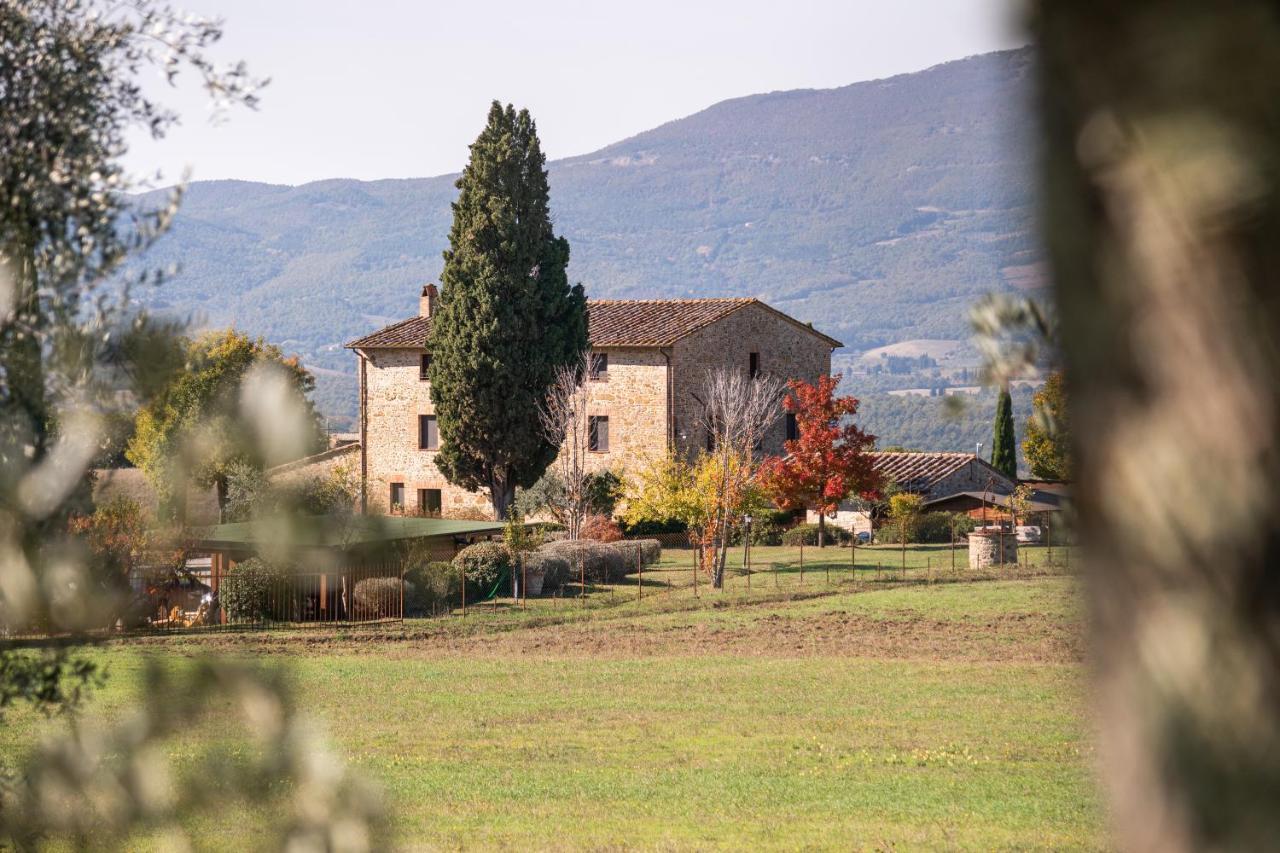 Maison d'hôtes San Carlo A La Molinella à Città della Pieve Extérieur photo