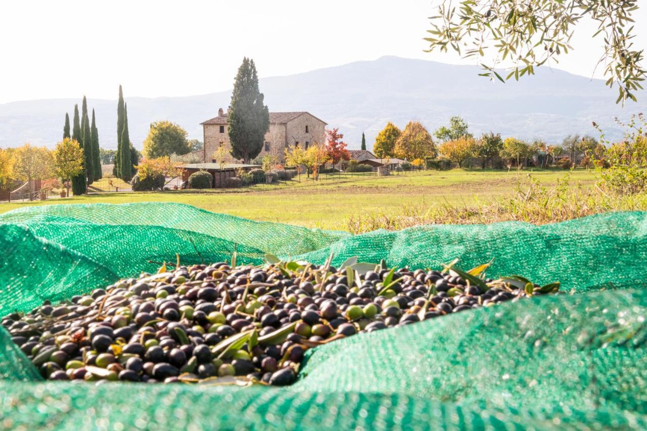 Maison d'hôtes San Carlo A La Molinella à Città della Pieve Extérieur photo