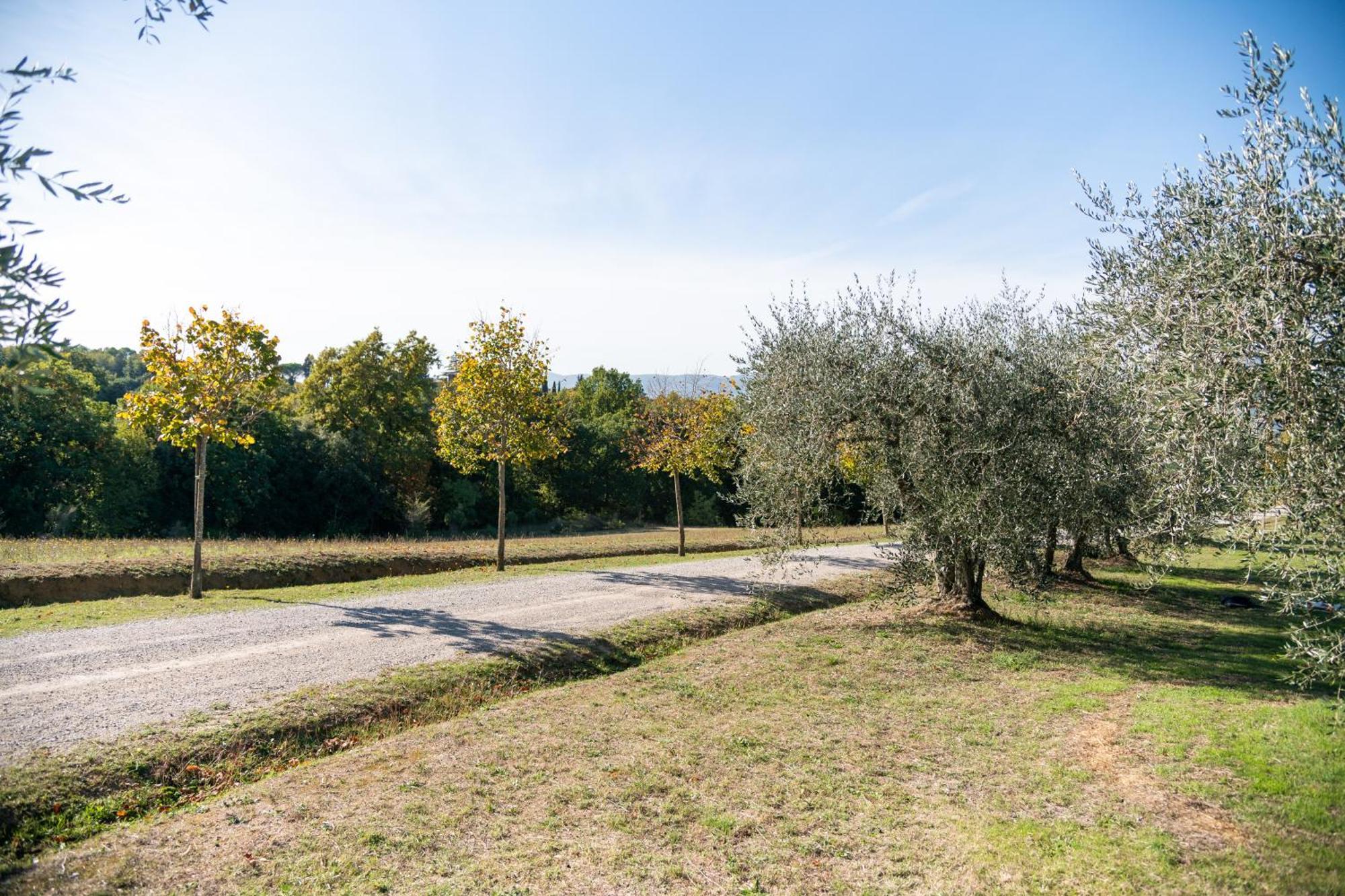 Maison d'hôtes San Carlo A La Molinella à Città della Pieve Extérieur photo